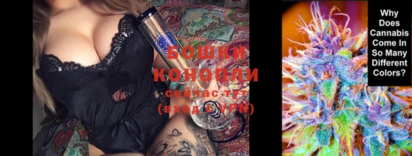 прущие крисы Балахна