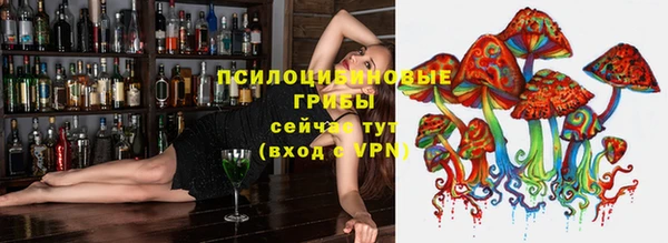 прущие крисы Балахна