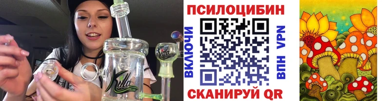 Псилоцибиновые грибы MAGIC MUSHROOMS  Переславль-Залесский 